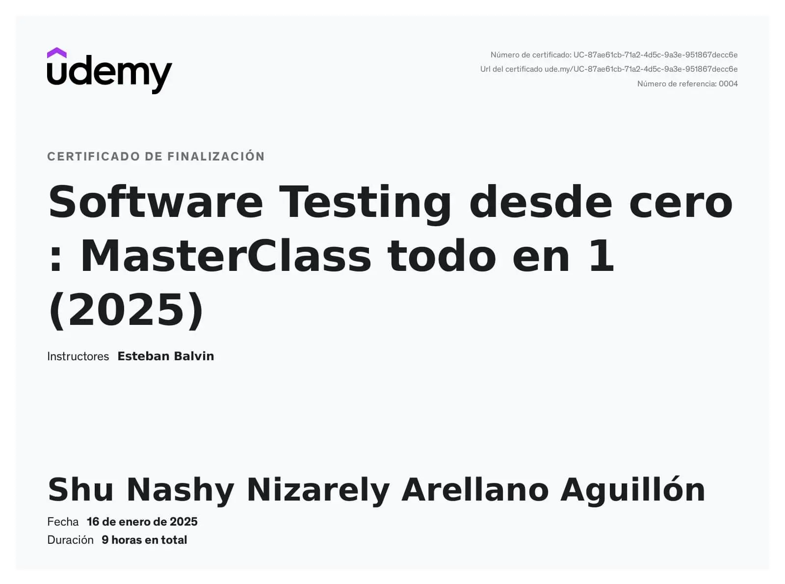 Imagen del curso Software Testing