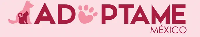 Logo de la competencia 3