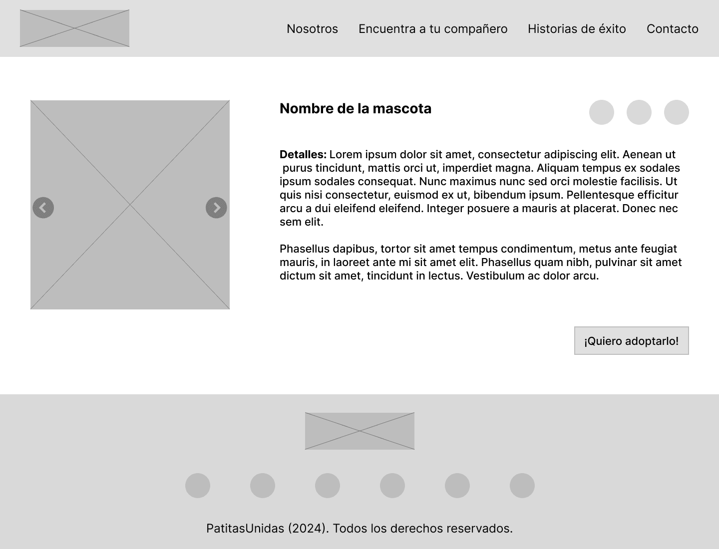 Detalles de información Patitas Unidas Wireframe