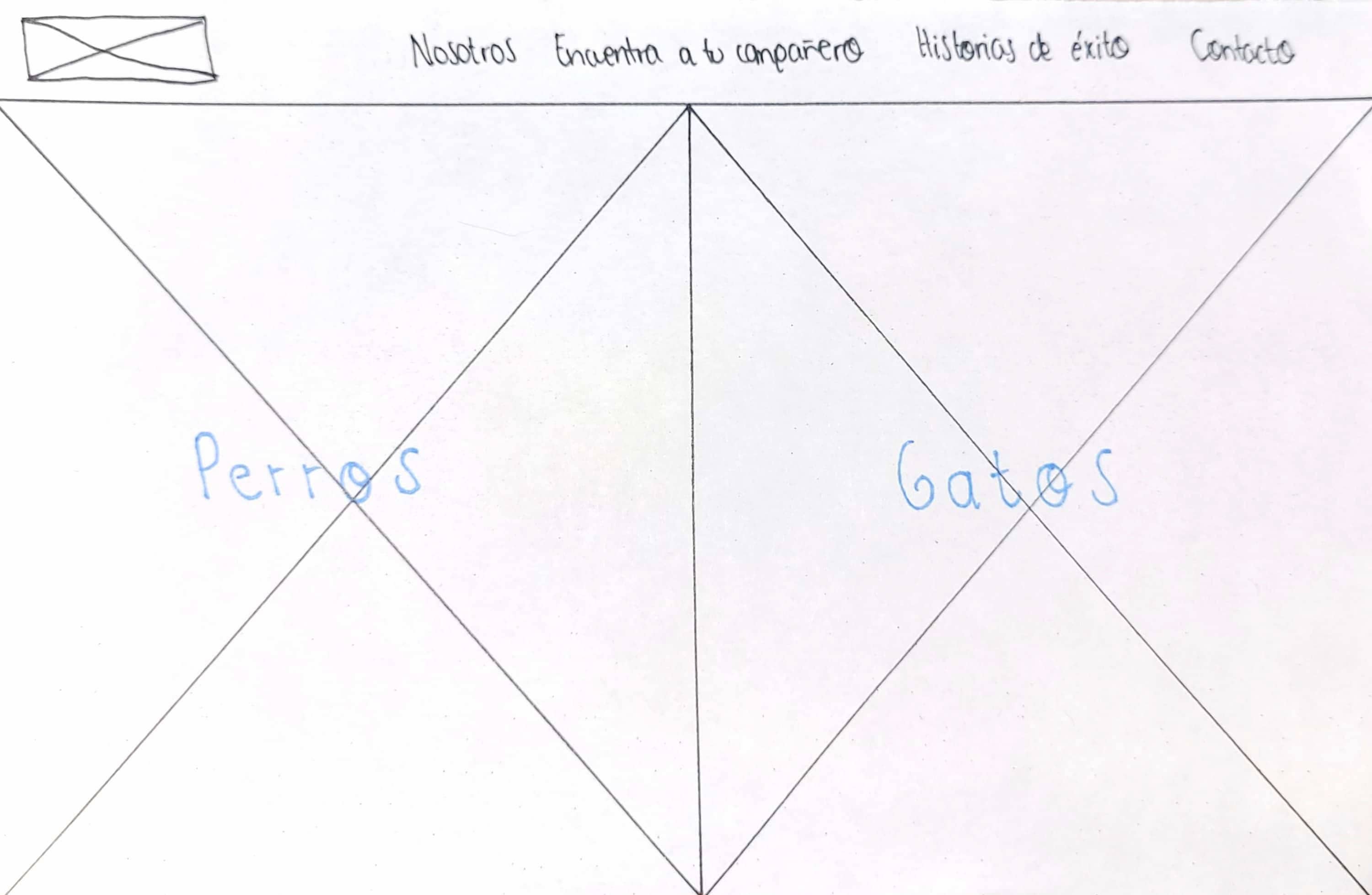 Encuentra a tu compañero Patitas Unidas Wireframe