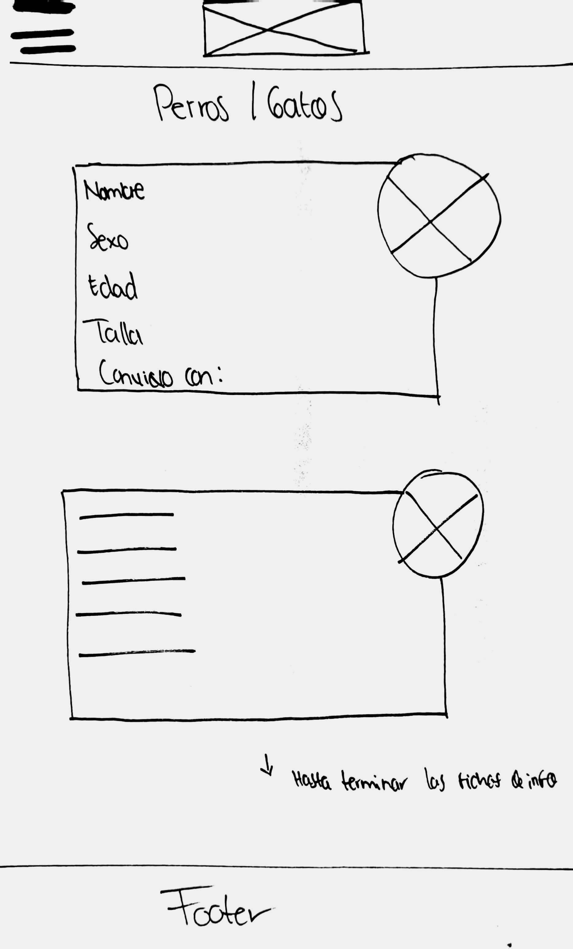 Fichas de información Patitas Unidas Wireframe